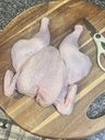 Broiler Chicken / ब्रोइलर चिकन